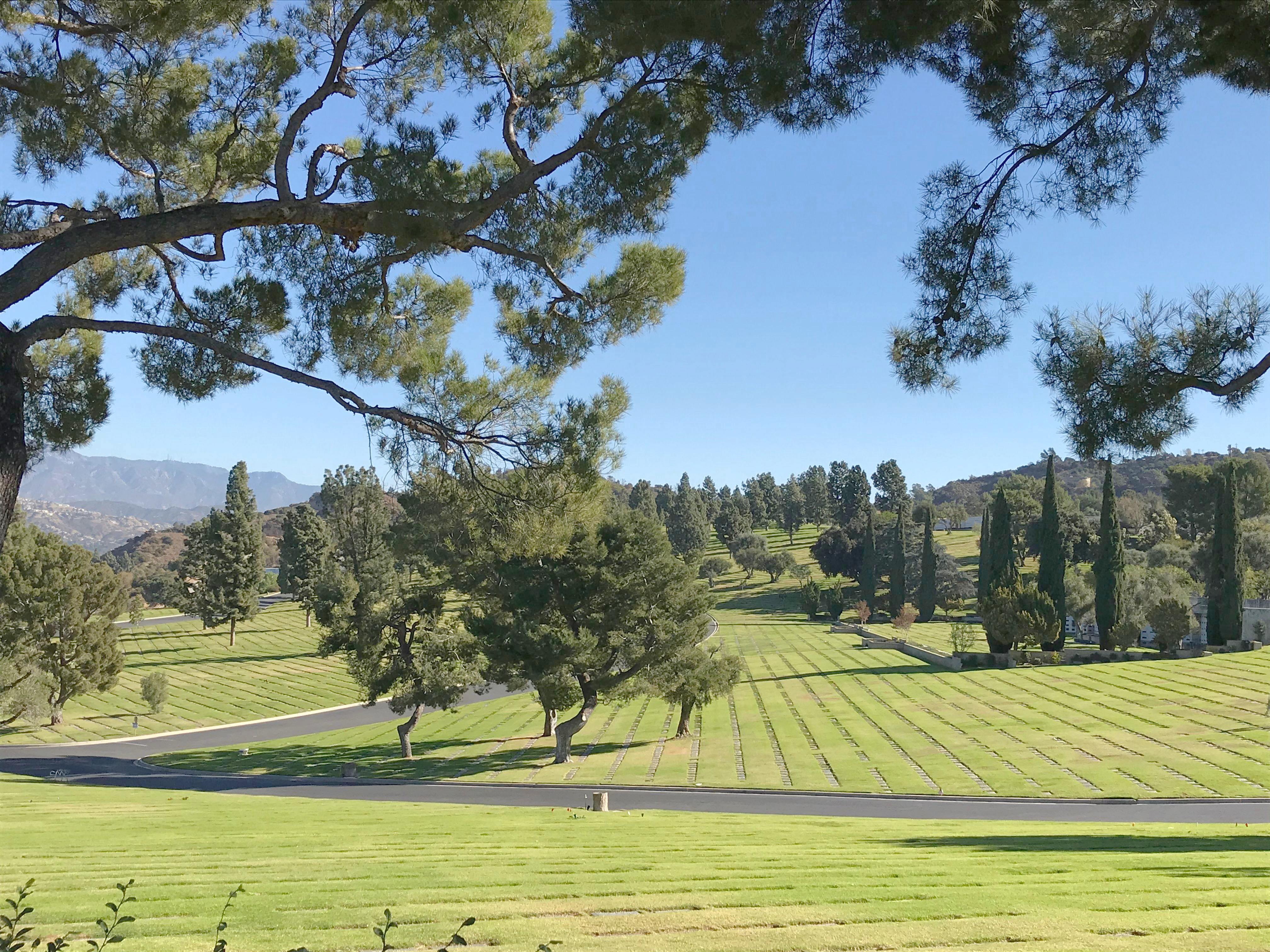 &nbsp;31ST January 2023