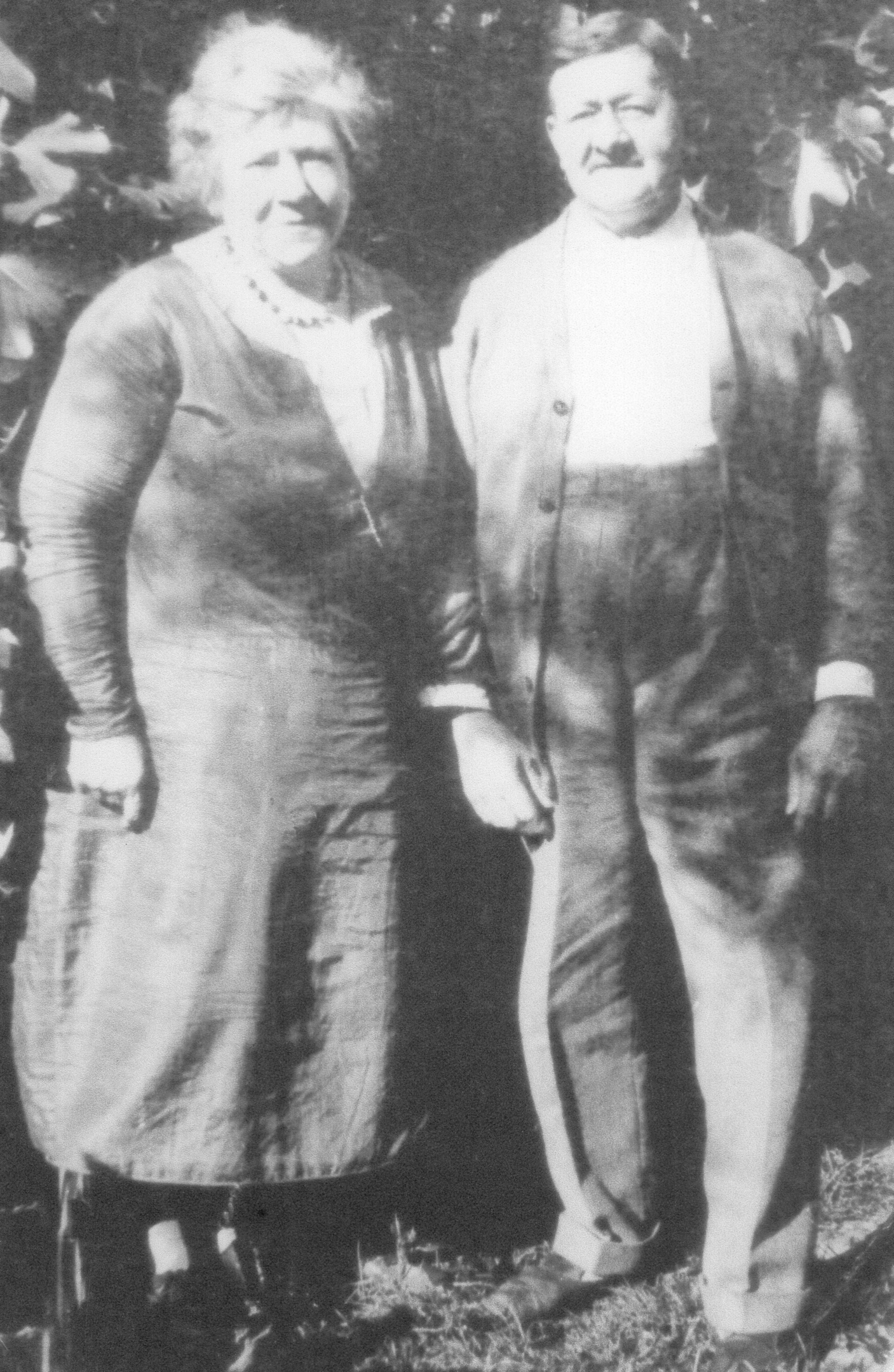 Img20231105 13195225 Eraser InPixio11 contrast