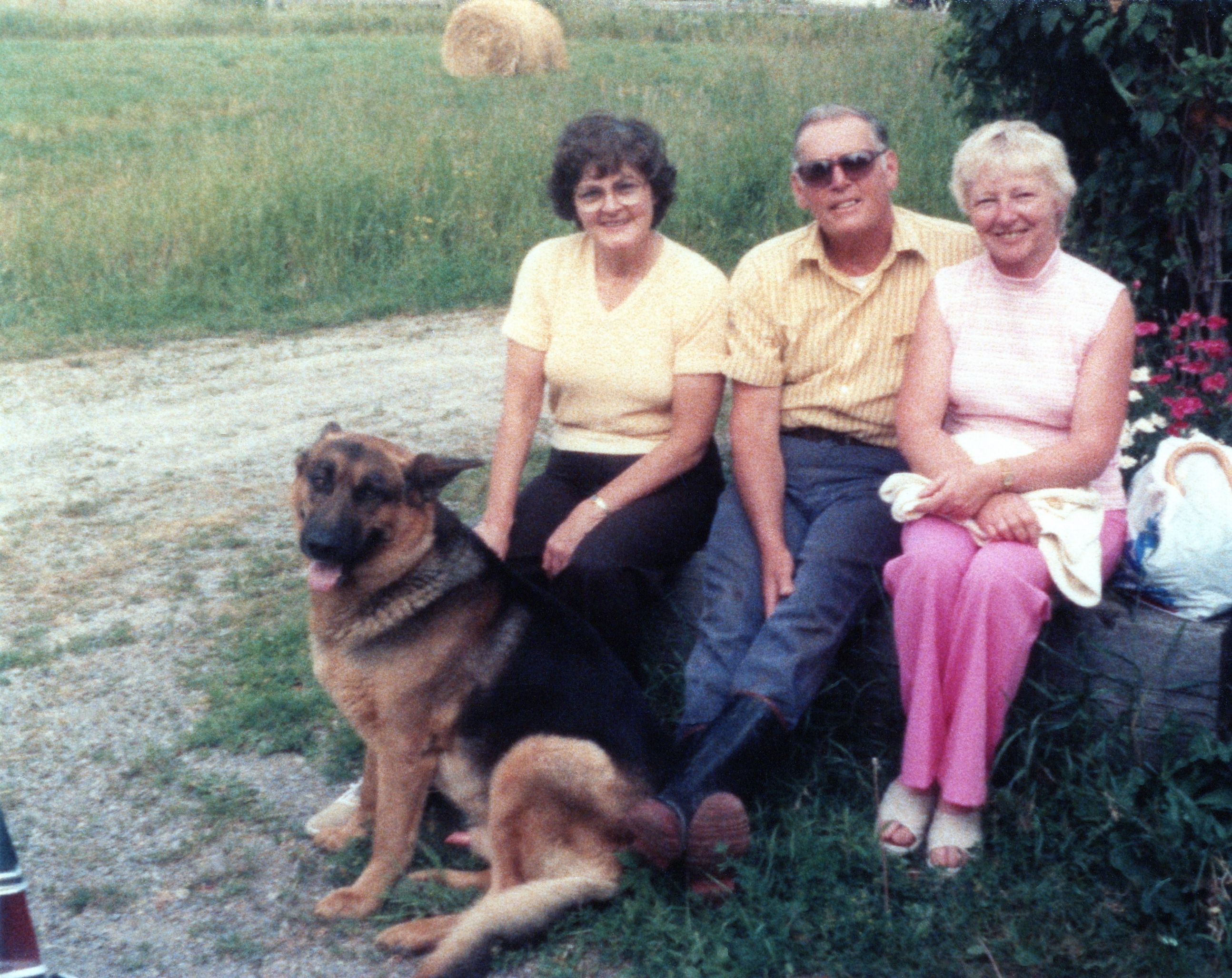 Img20231103 22123854 Eraser InPixio11