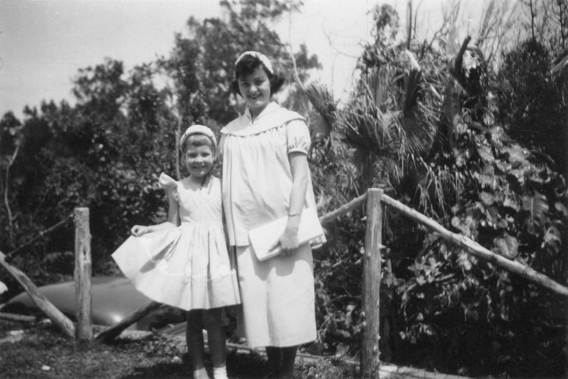 Img20231113 12194596 600