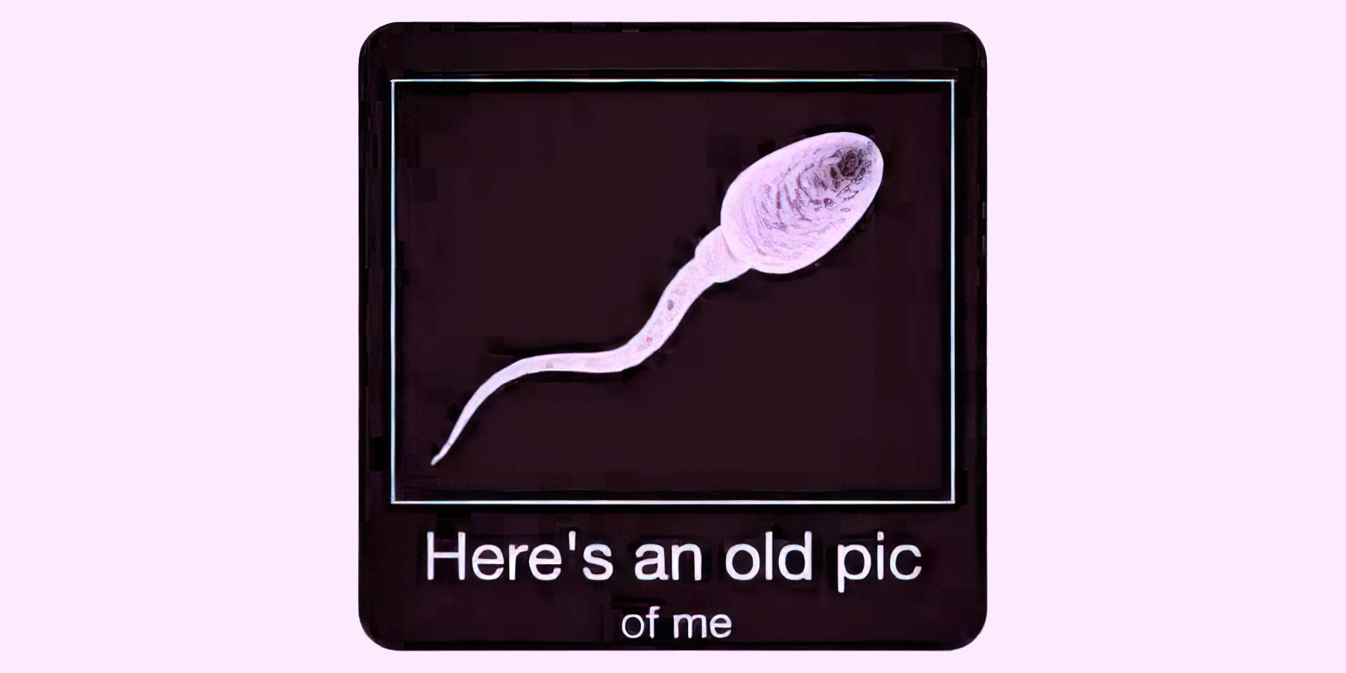 The first known picture of me