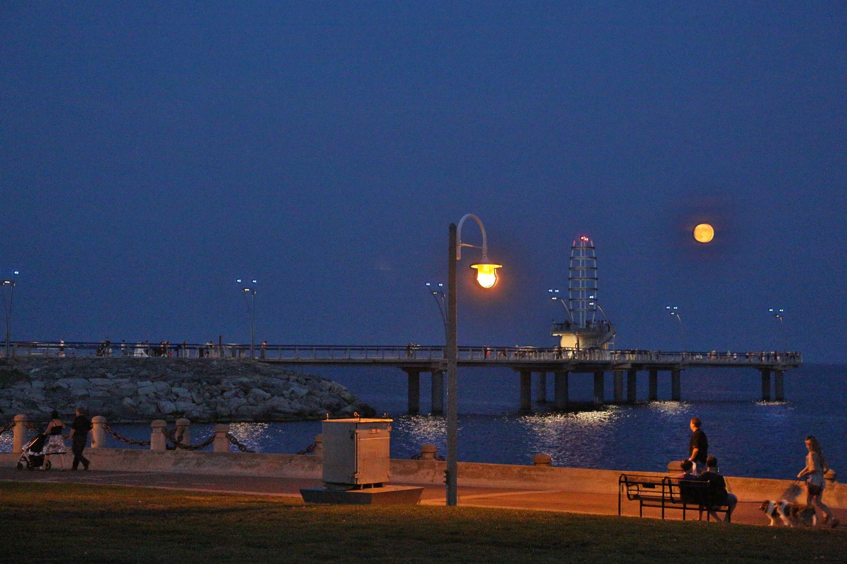 BurlingtonTowers~g~Surroundings~SpencerPark~Spencer+Smith 16 1920w