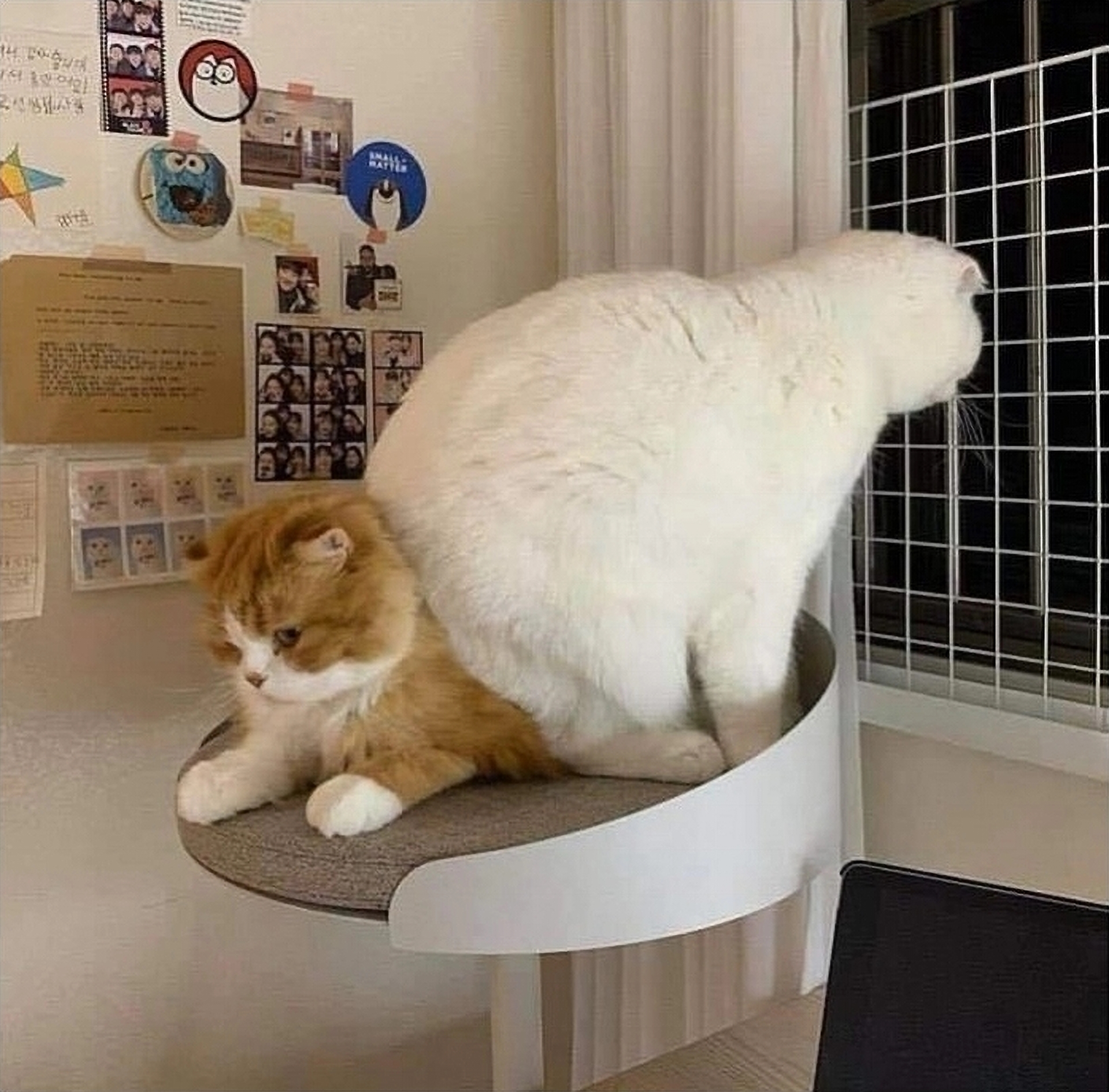 504 032~Eraser InPixio11