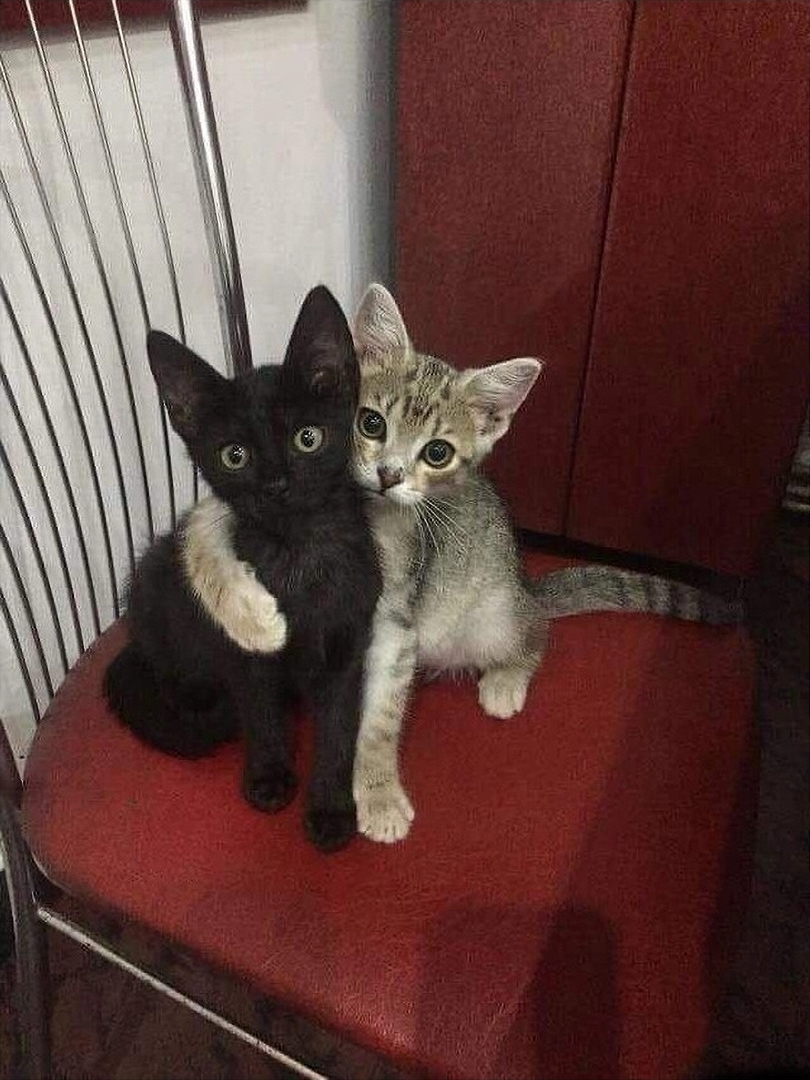 506 023~Eraser InPixio11