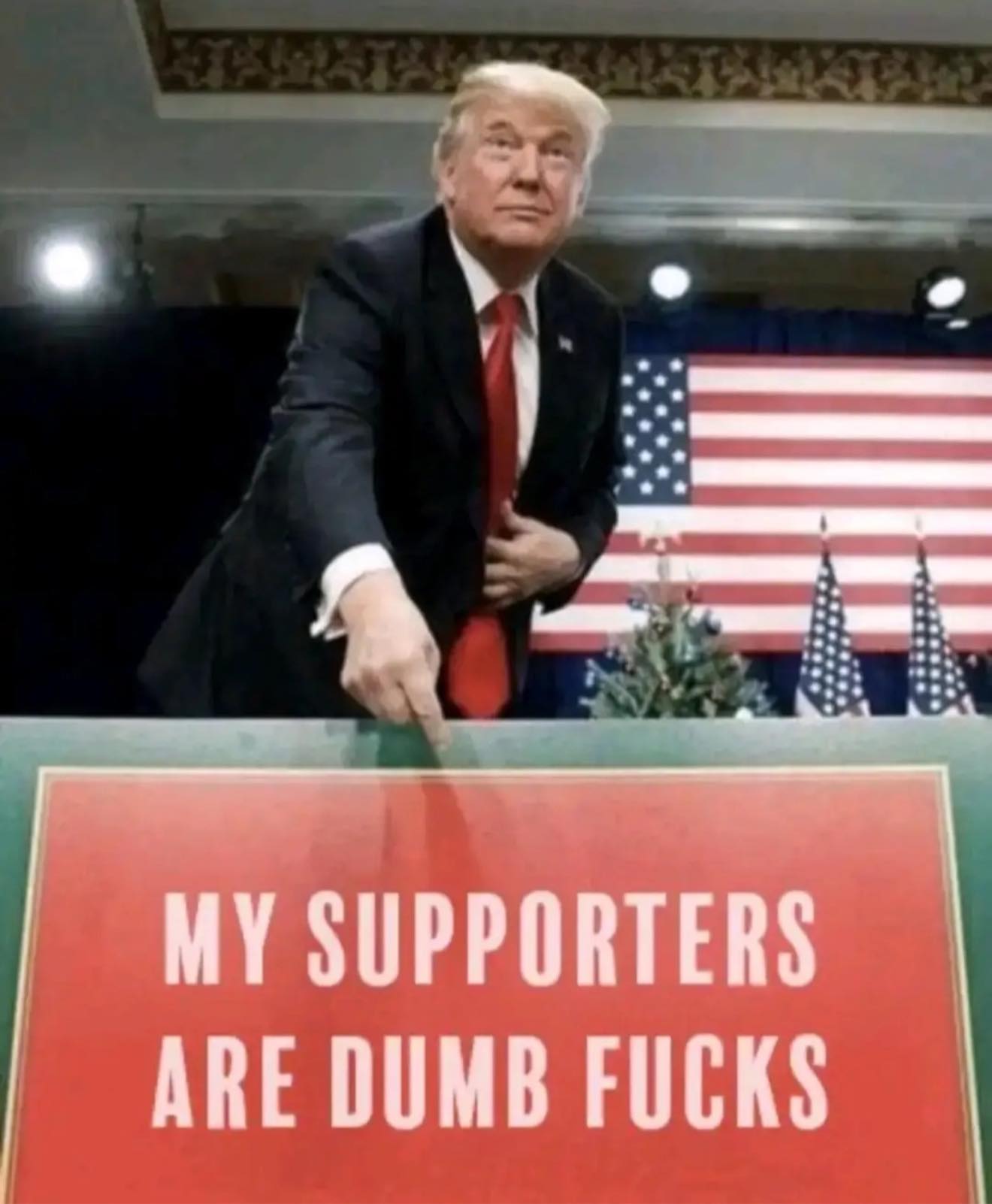 Trump~611657179 844843885029082 8249377421456039445 n