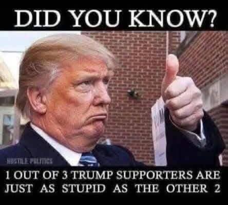 Trump~612463530 847736238073180 3289141420387797976 n