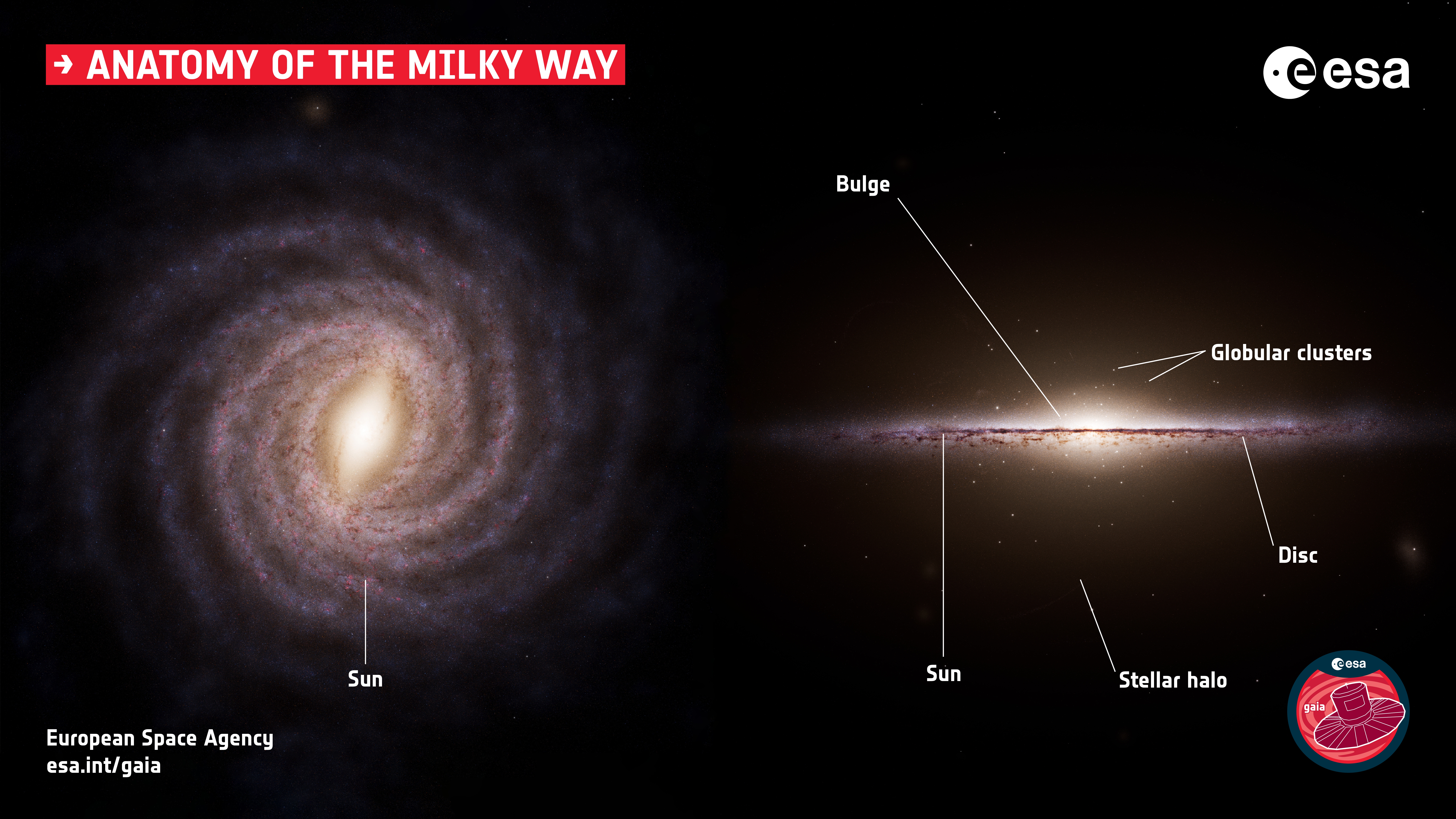 Anatomy of the Milky Way