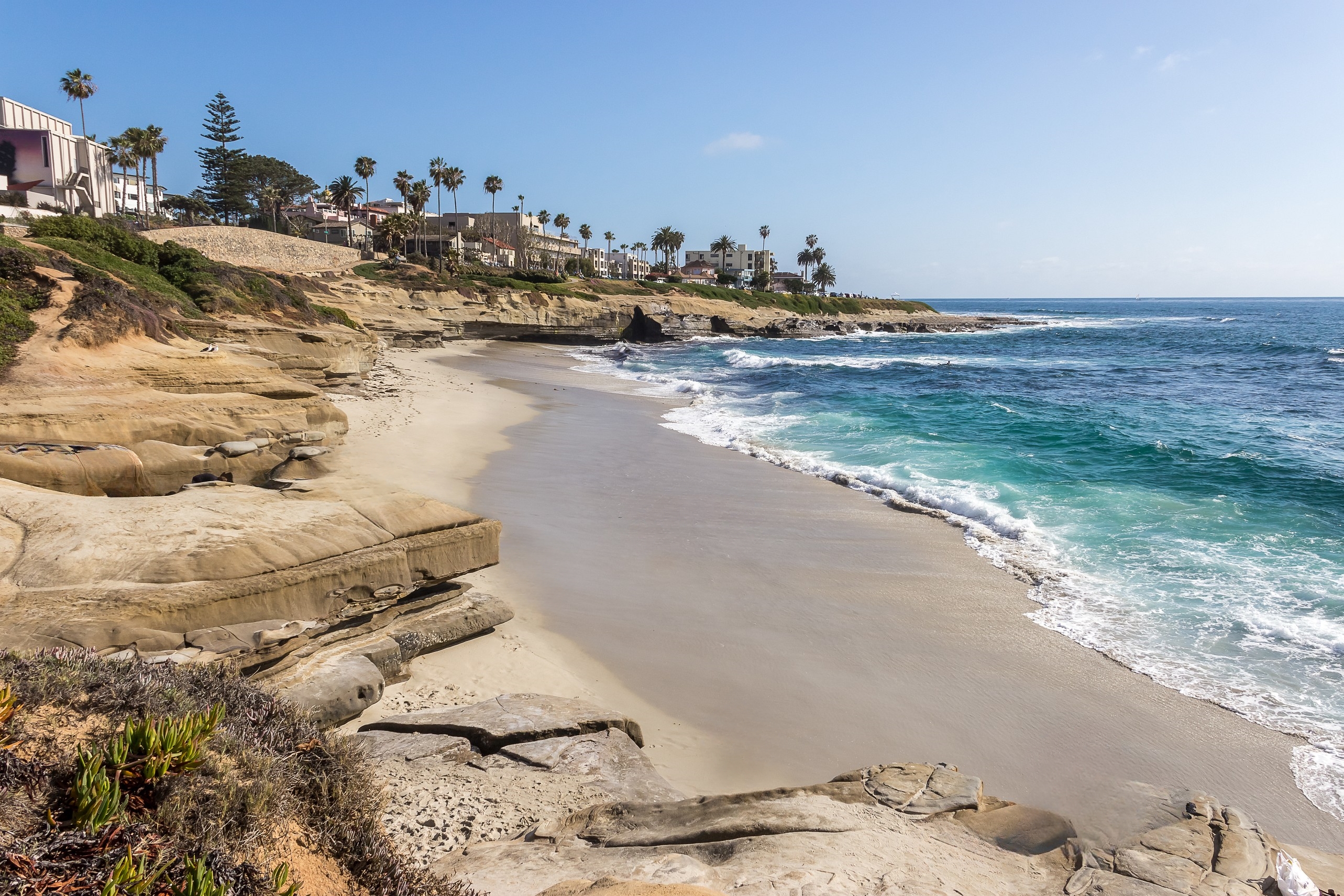 Wipeout Beach, La Jolla, San Diego, California, USA(2015)... photo by Randy Gibbons (Flickr) ... I removed people, shadows, some objects & cars