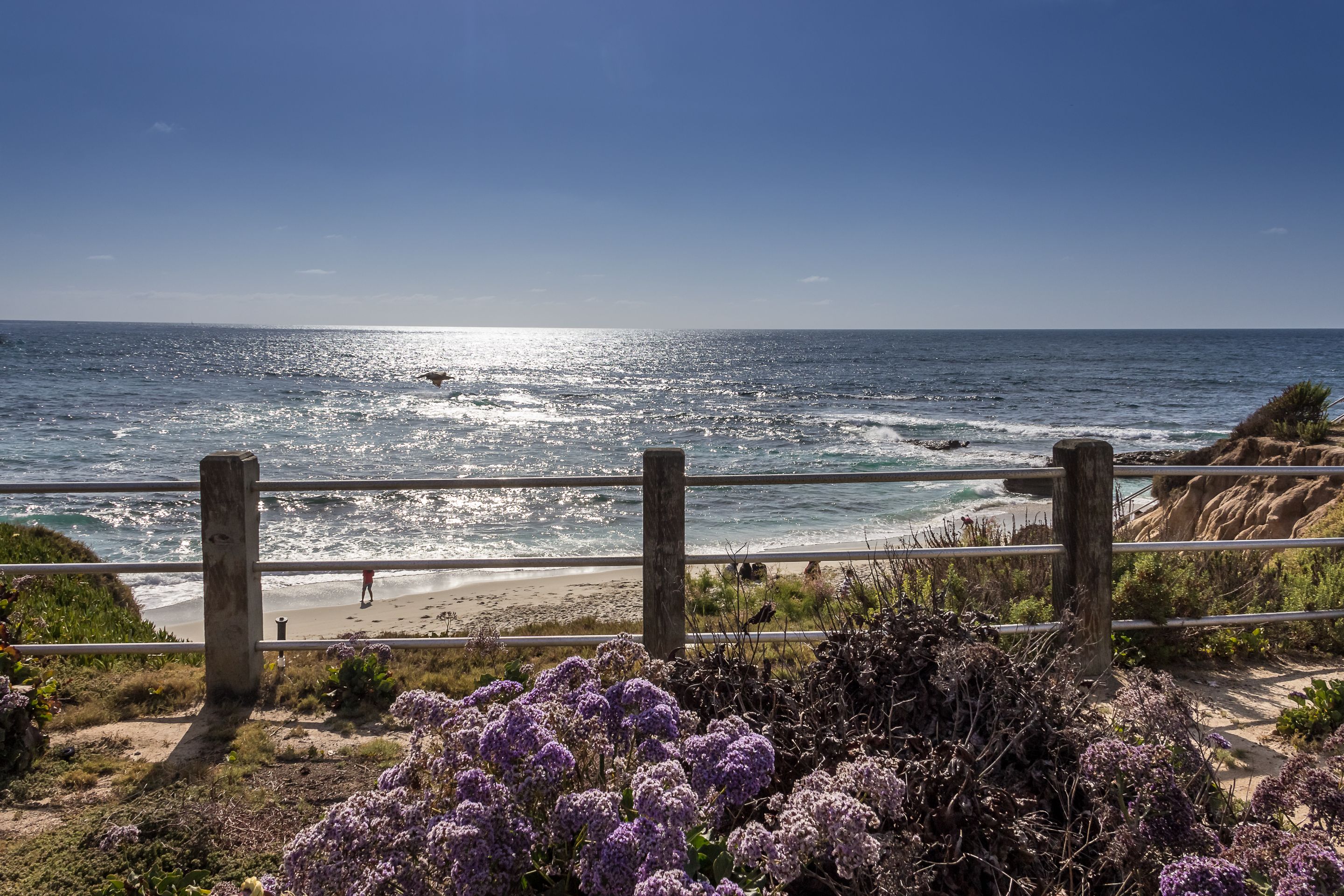 La Jolla Cove, La Jolla, San Diego, California, USA(2015)... photo by Randy Gibbons (Flickr) ... original photo by Randy Gibbons